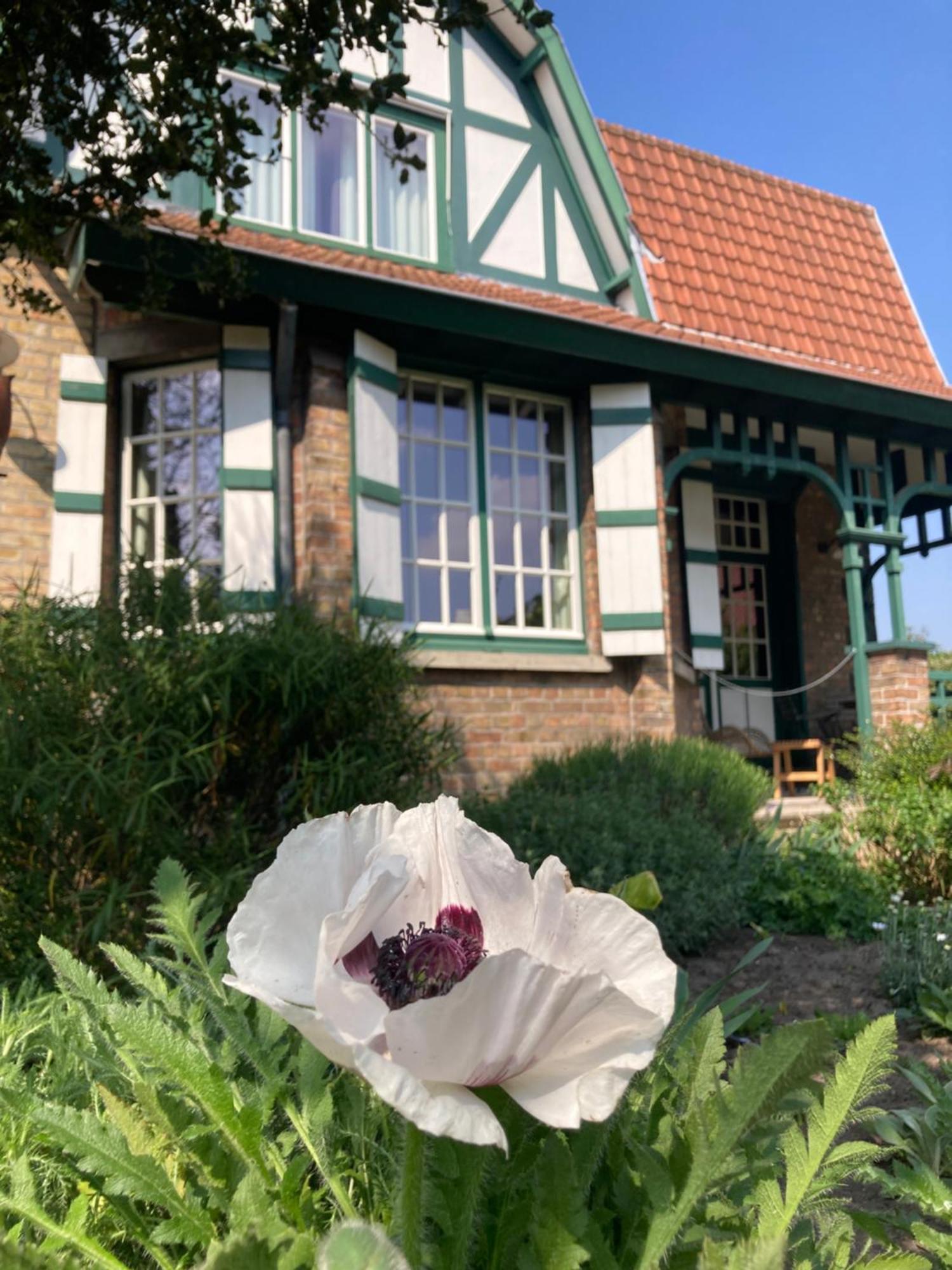 Tree & B Bed & Breakfast Brugge Eksteriør bilde